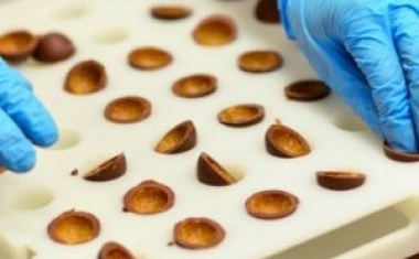 FDA-konforme Halbzeuge aus Kunststoff