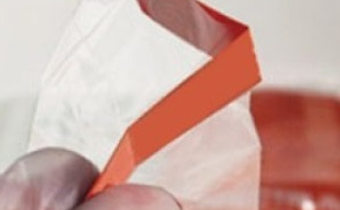 Proteinreinigung durch Dialyse