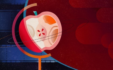 Imaging Inside Out: SWIR for Apples