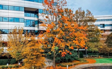 InfraTec opens second branch office in the US