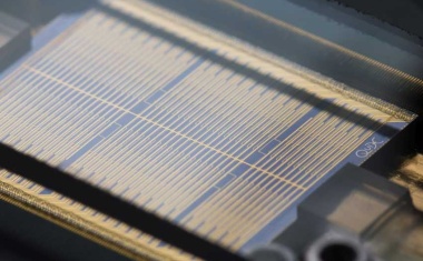 Quantum photonic processor with a record number of qumodes