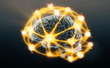 First photonic quantum memristor