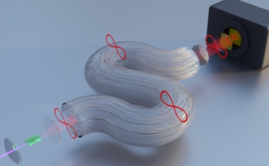 Light in a quantum fiber