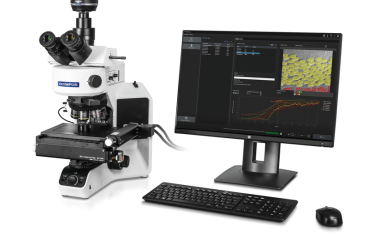AI-Supported Microstructure  Analyses in Metallography