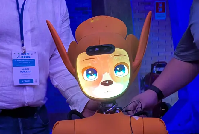 Es muss nicht immer ein humanoider Roboter sein