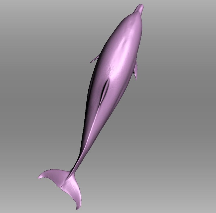 3D-Scan eines Delfins. (Quelle: Lloyd Hopkins, Swansea University, Swansea...