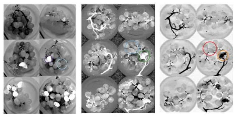 Manche chemischen Elemente oder Verbindungen absorbieren die Infrarotstrahlung...