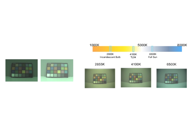 Der Image Signal Processor muss unter anderem auf die eingesetzte Beleuchtung...