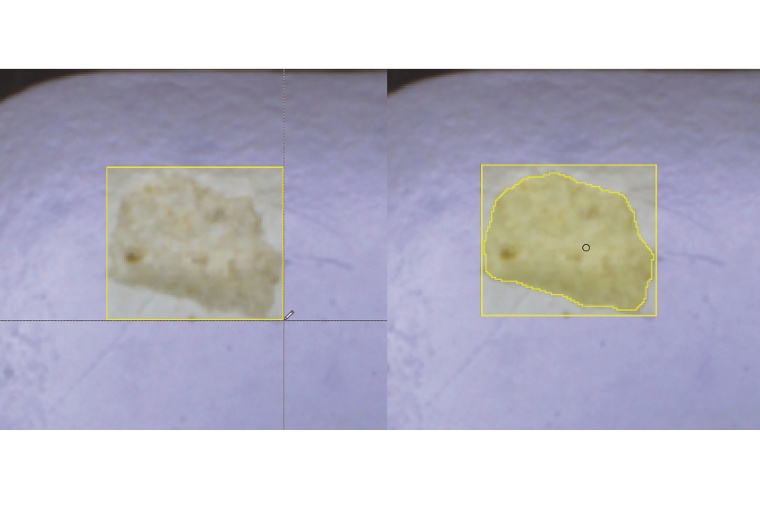 Das Deep Learning Tool von MVTec schlägt automatisch ein Label vor (rechte...