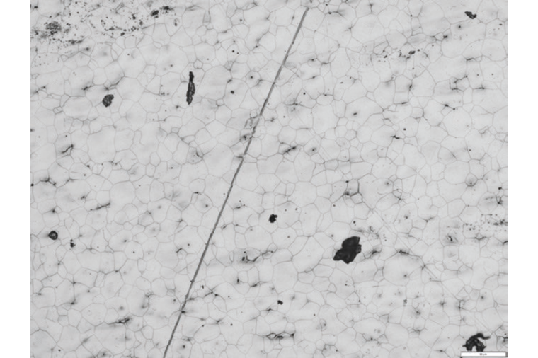 Eine metallographische Probe mit Korngrenzen, Polierspuren und Staub. (Bild:...