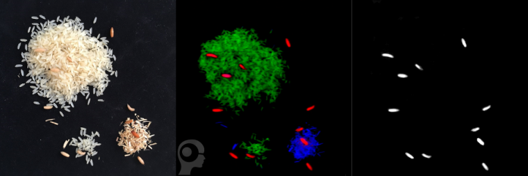 An image processing solution based on hyperspectral imaging detects...