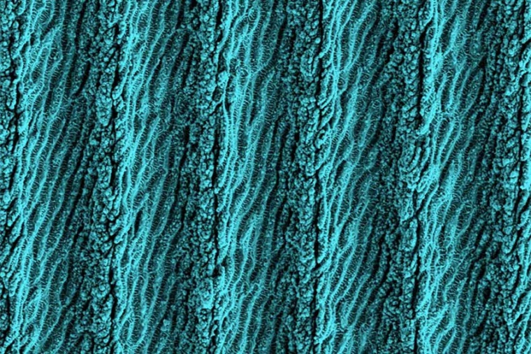 Laser-based surface structuring at the micro scale. These special features...