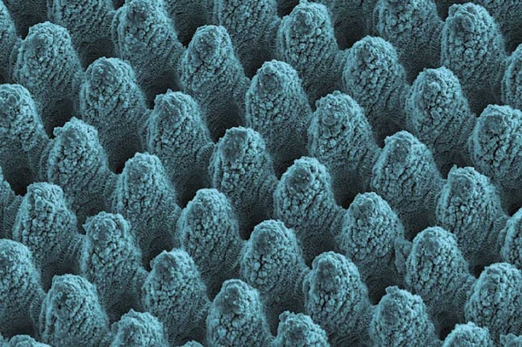 Laser-based surface structuring at the nanometer scale. These special features...