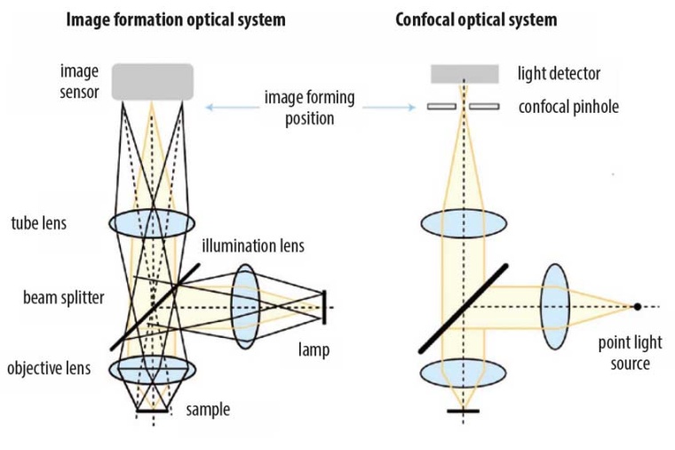 Image formation optical system (left) and confocal optical system (right) for...