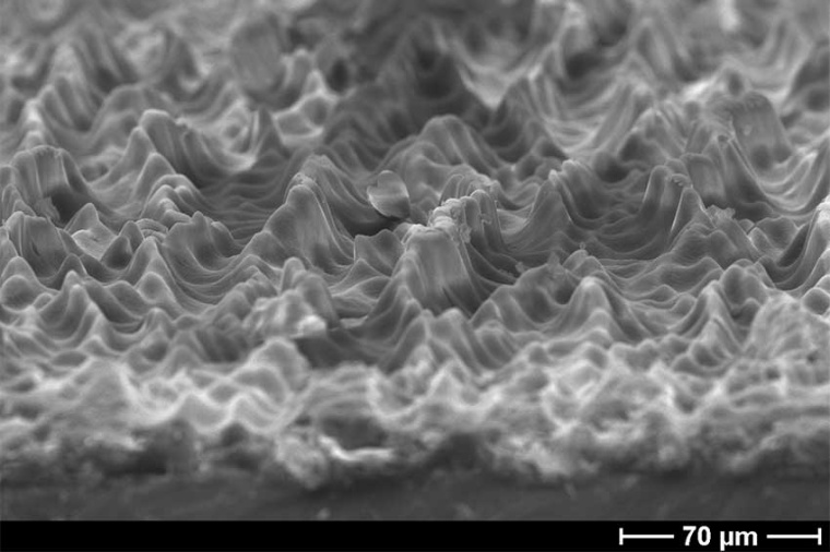 Free-form shapes under the microscope (Source: Phabulous)