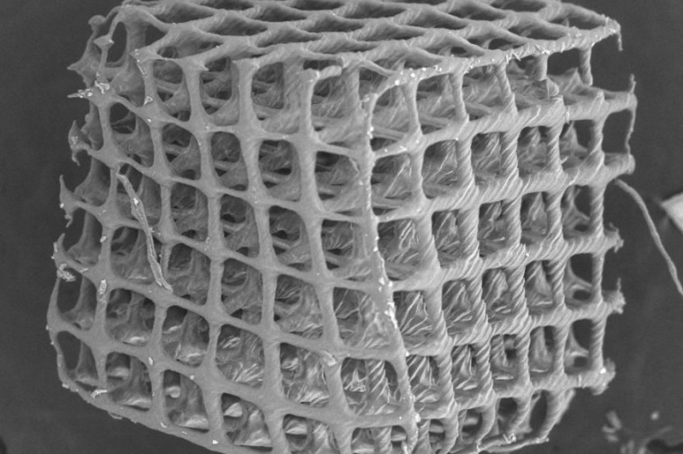 Scanning electron micrograph of cubic lattice with 20 micrometer lattice...