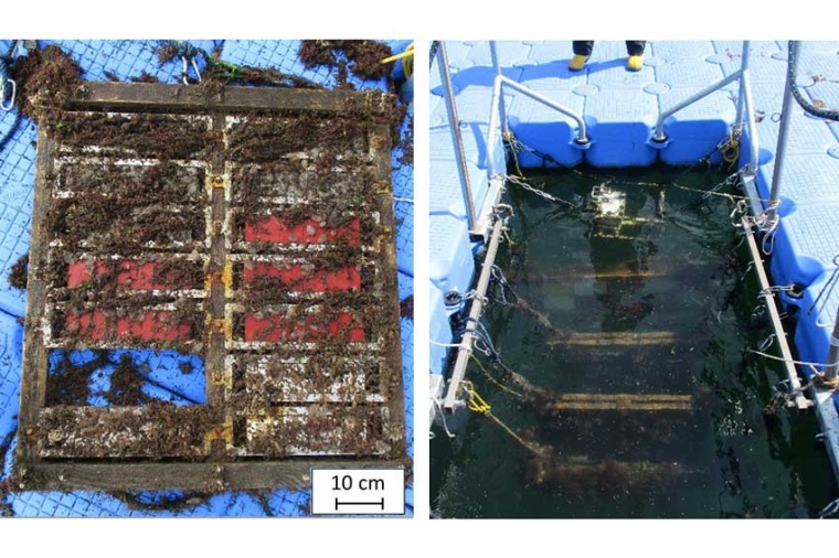 Stored fouling samples on Helgoland (Source: LZH)