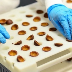 FDA-konforme Halbzeuge aus Kunststoff