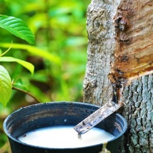 © underverse / Fotolia.com