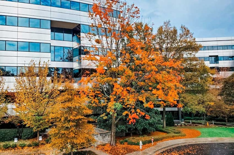 Infratec Infrared LLC, Office Atlanta, Georgia (Source: Infratec)