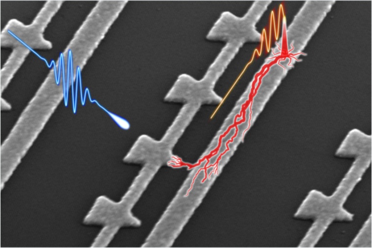 As a laser illu­minates these nano­meter-scale devices, atto­second electron...