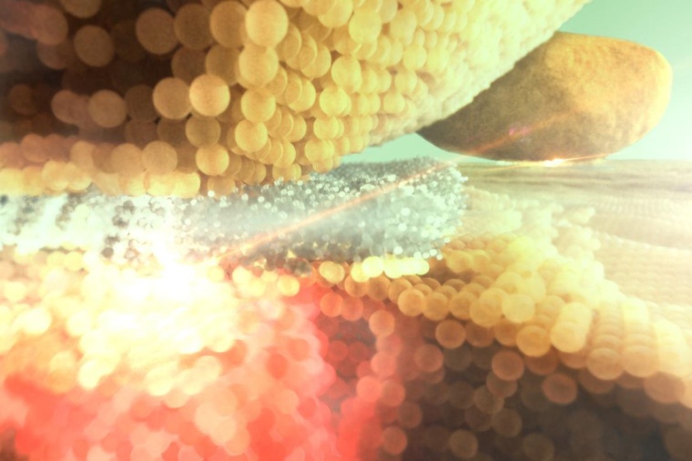 Illustra­tion of plasmonic nano-antennas: gold nano­particles are deposited...