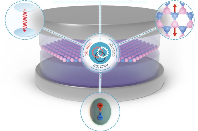Illustration of the phonoriton, a three-way hybrid particle made up of...