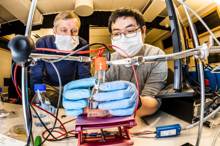 Abb.: Magnus Jonsson and Shangzhi Chen at Linköping University have developed...