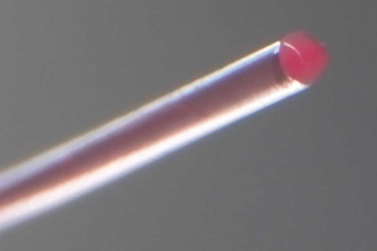 The core of the kilometer-long optical fiber consists of glycerine throughout....
