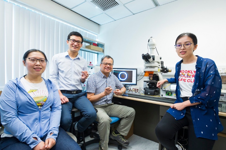 Sun Tianying (l.), Wang Feng, Chu Sai-tak and Li Yuhua developed a domino...