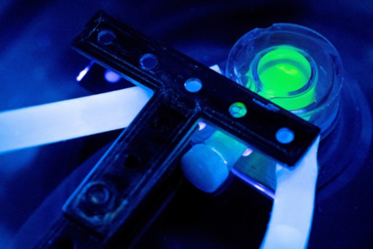 Mechanoluminescent material during an experiment. (Source: J. Meyer, FSU Jena)