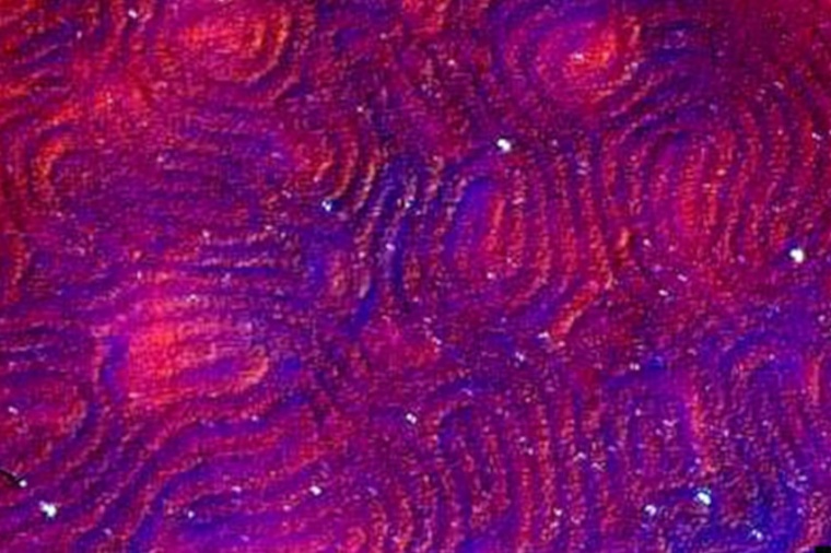 A Japanese researcher develops a method for creating optically active polymers...