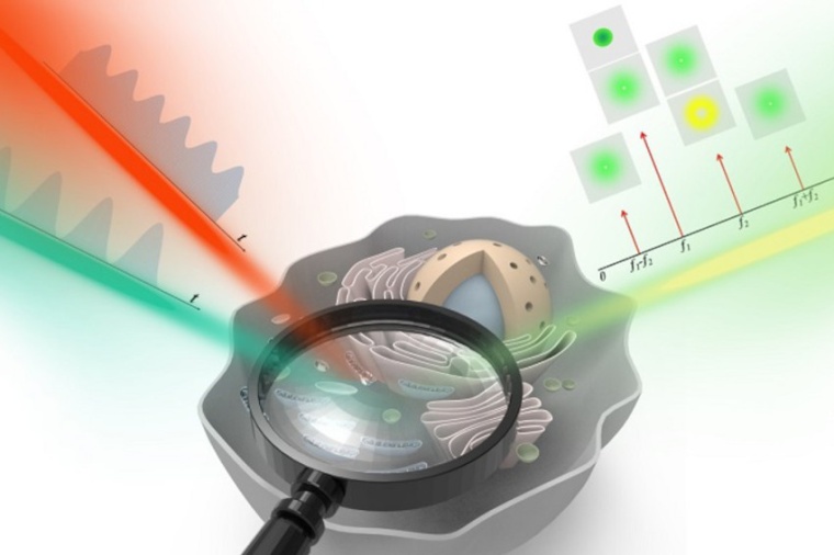 Illustration of frequency-domain STED microscopy to selectively suppress the...