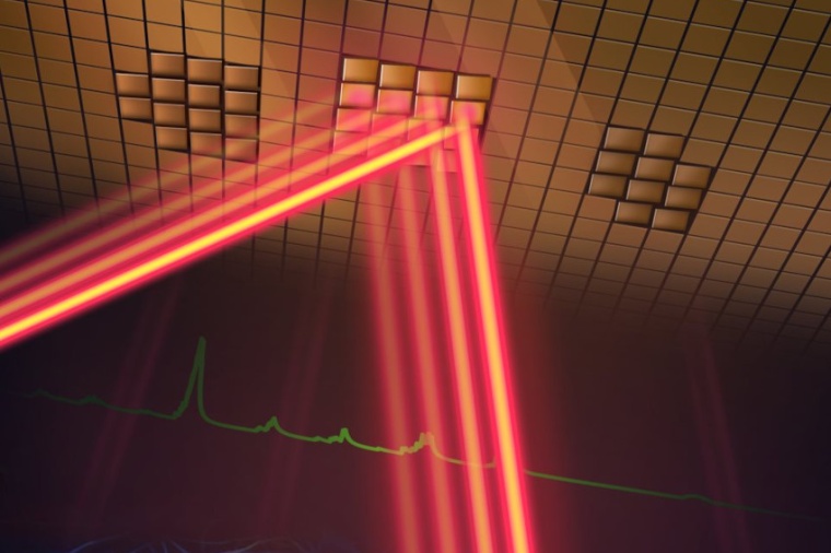 A new two-photon fluorescence microscope can capture high-speed images of...