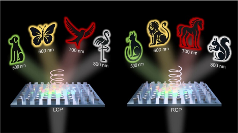 Schematic of the single-cell metahologram implementing spin and wavelength...