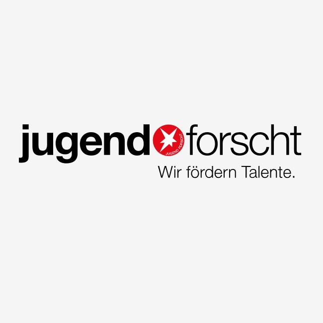 Erfolge für deutsches Team bei der MINT-Europameisterschaft 2025