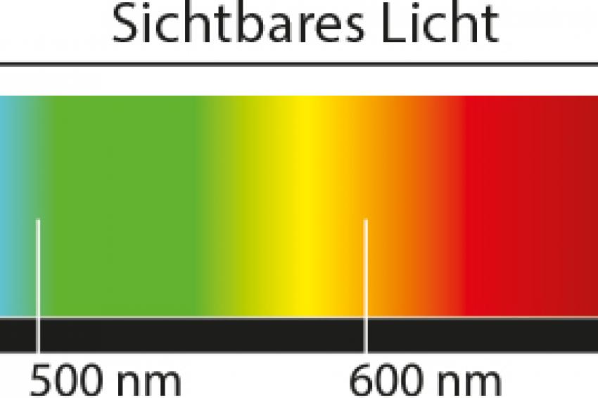 UV- Und IR-Beleuchtungen Erweitern Die Sichtbarkeit | Wileyindustrynews.com